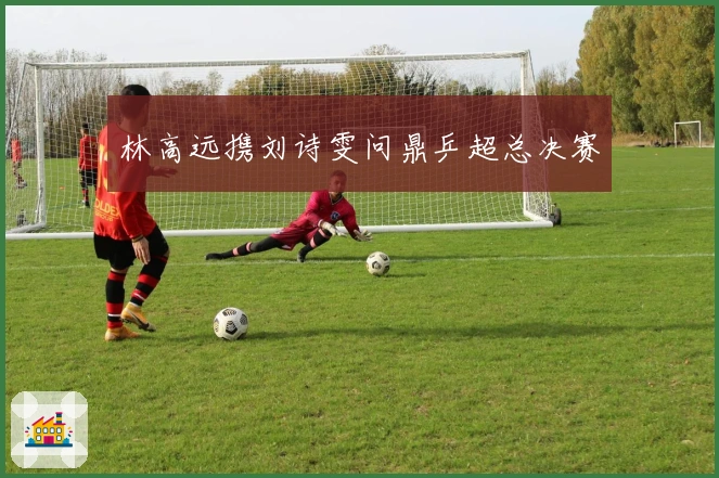 林高远携刘诗雯问鼎乒超总决赛